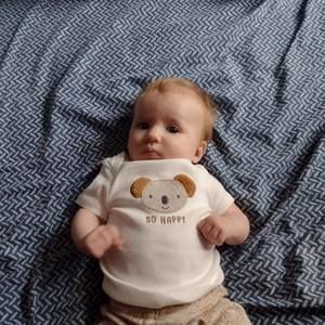 Meet your Posher, Louis